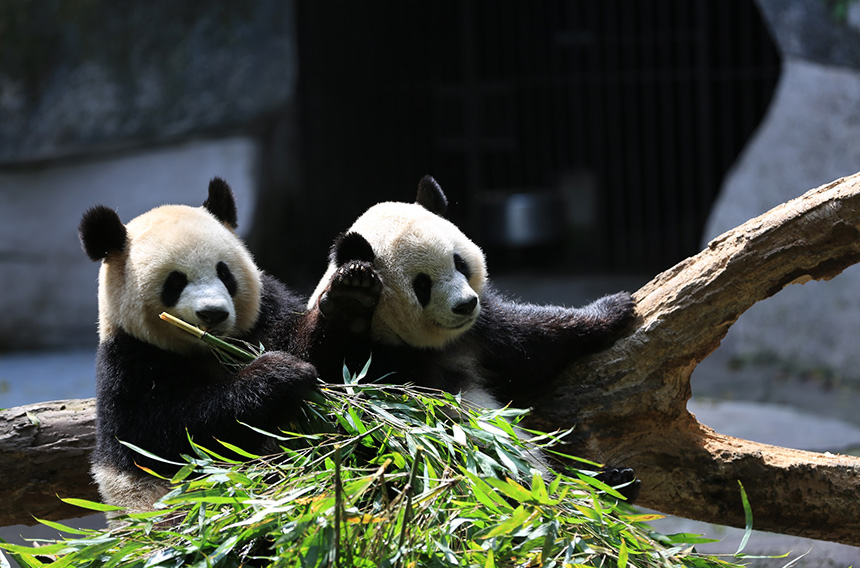 生物多样性；